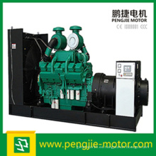 10kw-1000kw Ce ISO Aprobado Tipo Abierto Generador Diesel Eléctrico